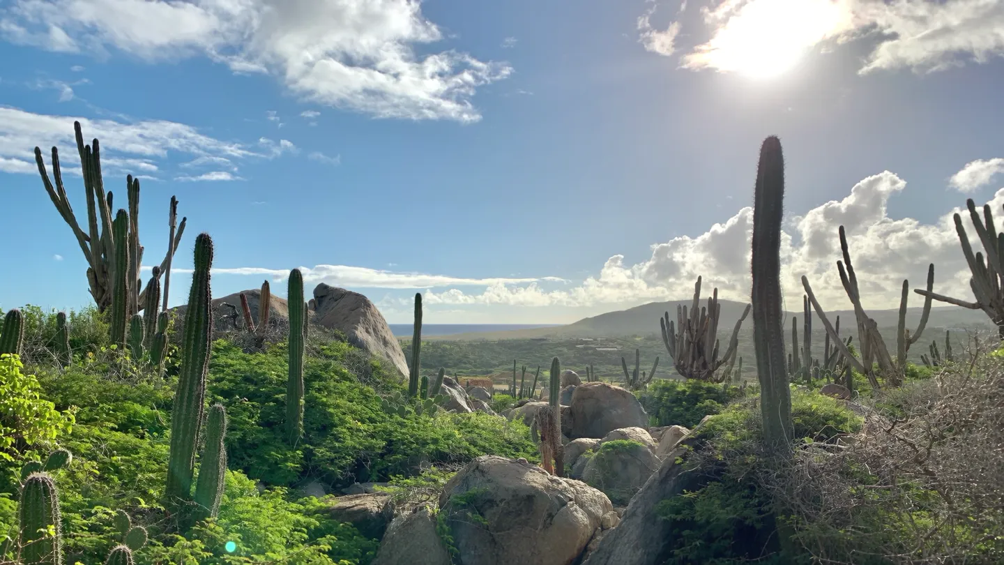 Cunucu’s Aruban countryside: cacti, weathered rocks and open sky
