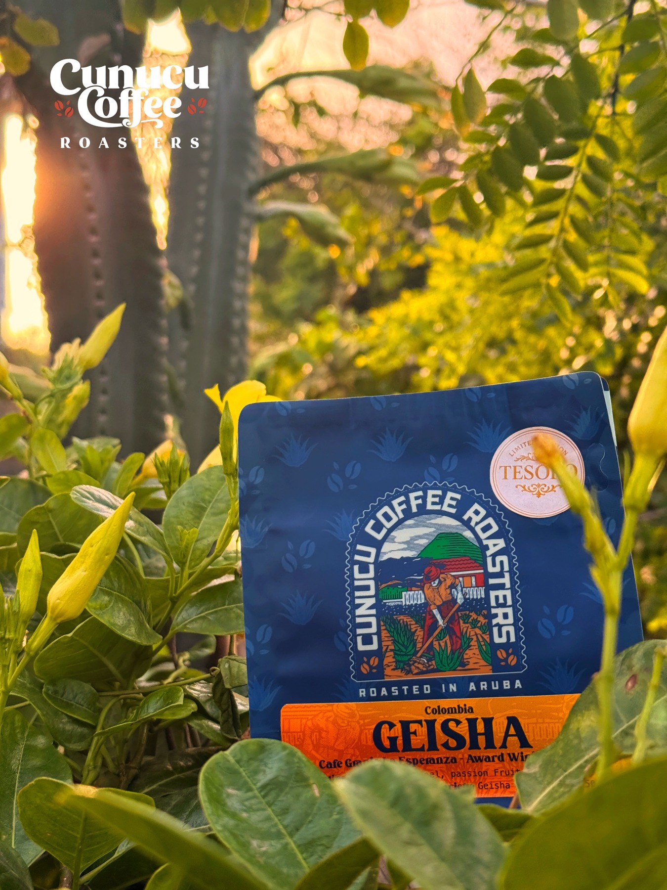 Cunucu Tesoro coffee among Aruba’s real sunlit foliage